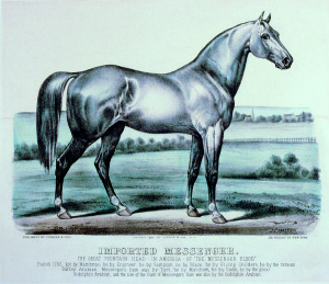 Messenger - foundation Standardbred sire