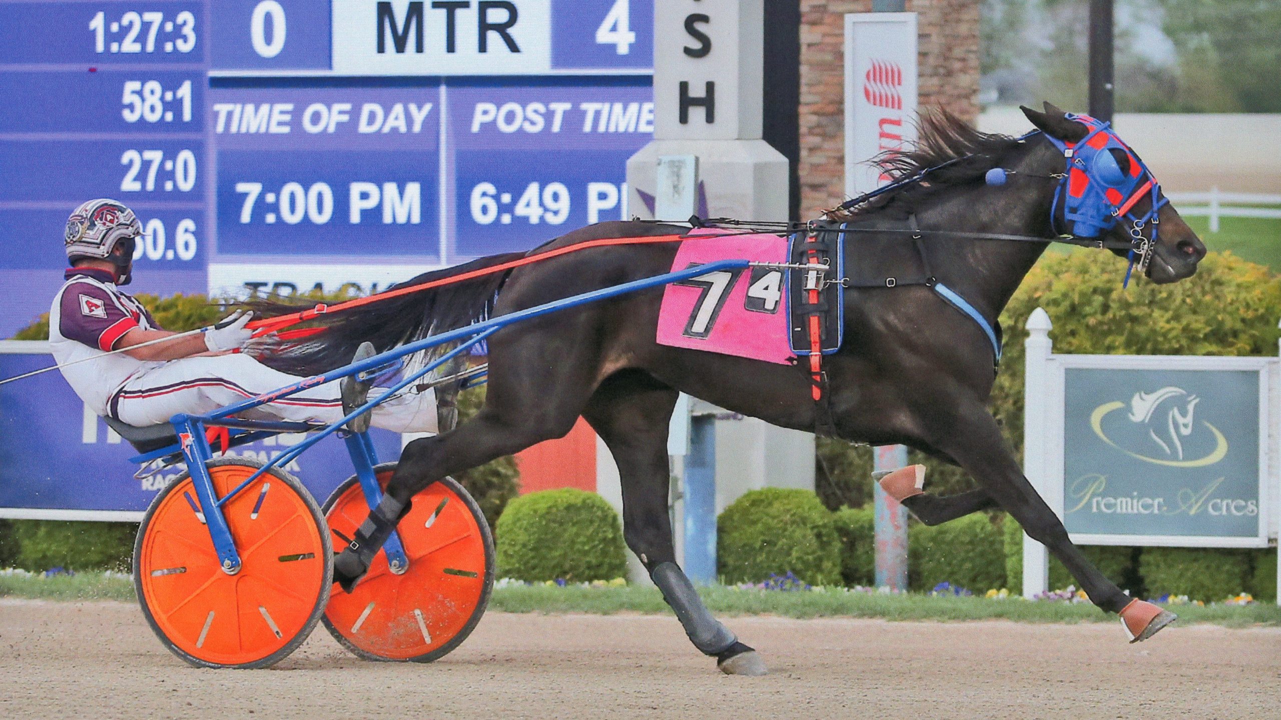 Unhynged Cadeau wins at Hoosier Park!